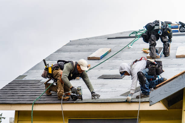 Professional Gutter Installation technician working in Century, FL